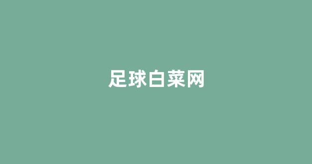 十大白菜软件