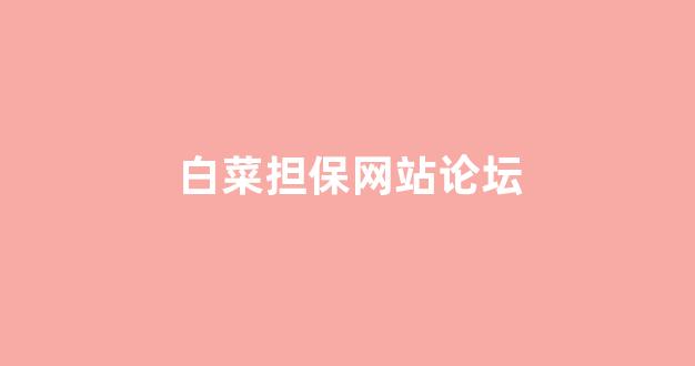 白菜担保网平台